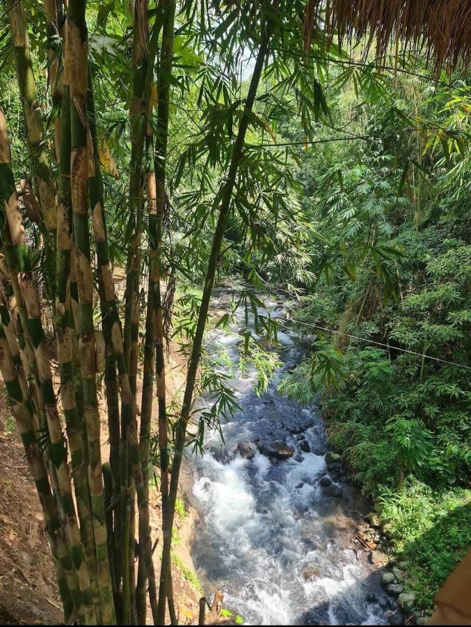 The Osing Bamboo Resort Tamansuruh 外观 照片